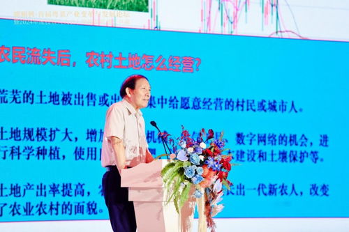 粵菜變革 抓住時代風口，以“新味”走出“圍城”