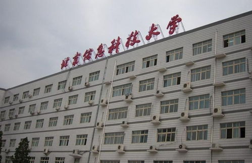 青春奉獻，科技賦能——記北京信息科技大學青年志愿者協會的信息技術咨詢志愿服務